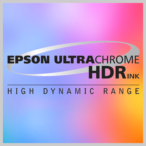 Epson ULTRACHROME HDR INK 350ML LIGHT LIGHT BLACK